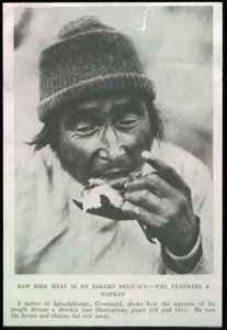 Image of Sipsoo Eating raw auk